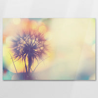 AC-075W050
