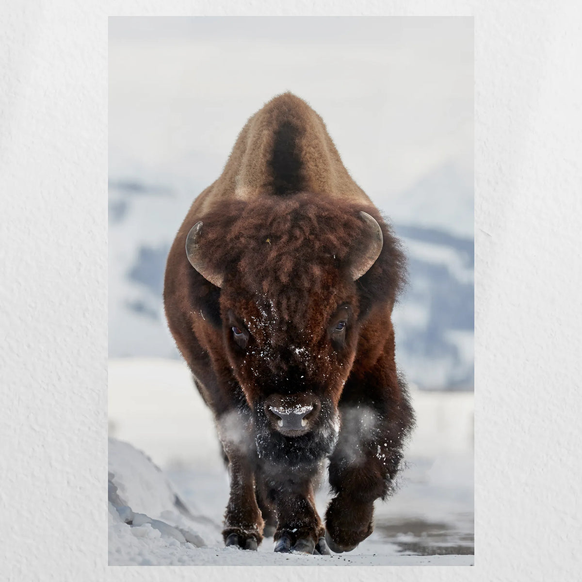 PO-020W030