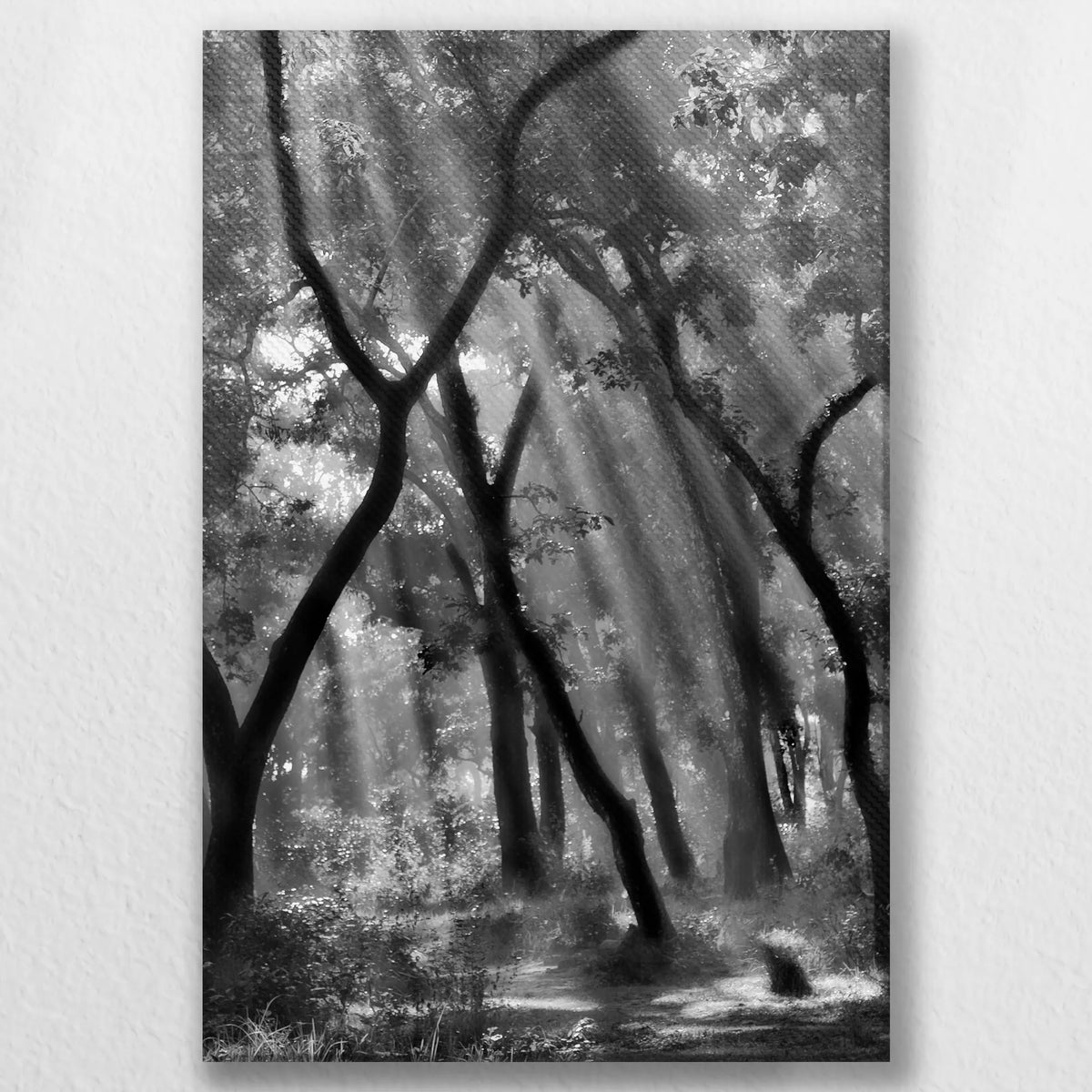 LW-020W030