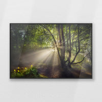 PB-093W062