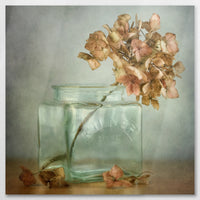 AL-080W080