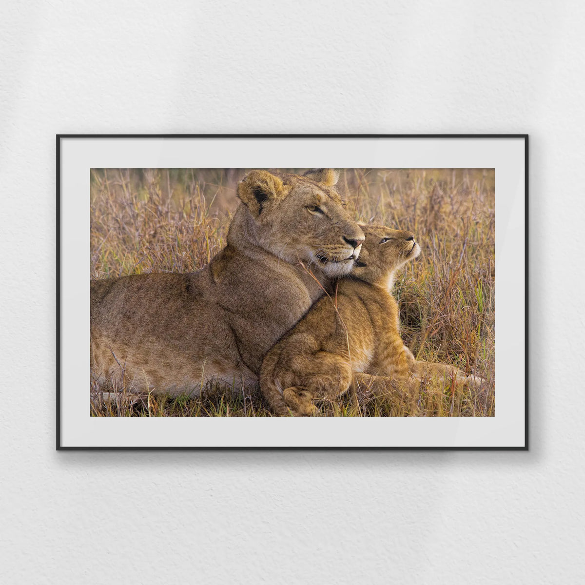 PBP100W070