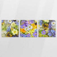 AL-240S080