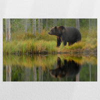 PO-060W040