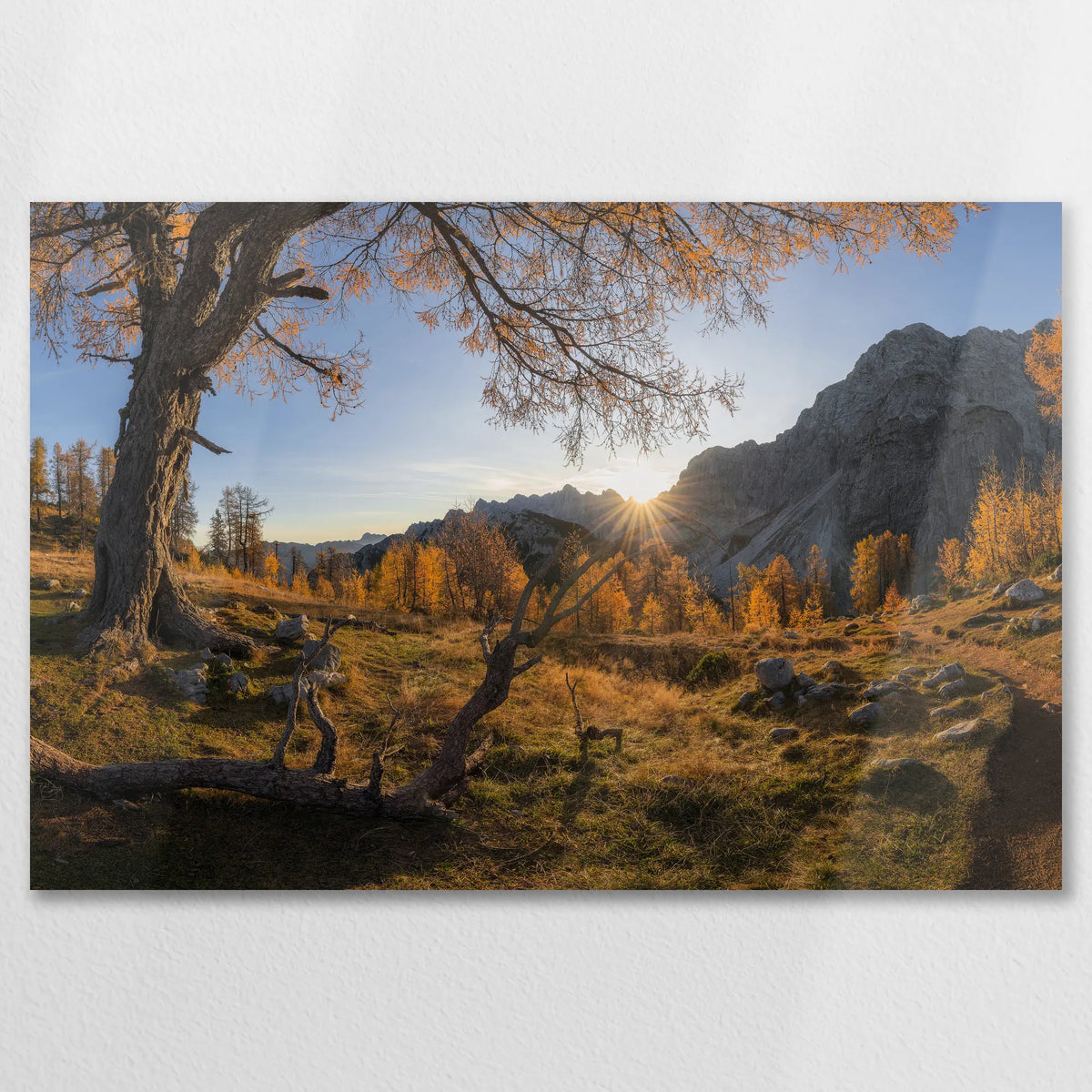 AL-090W060