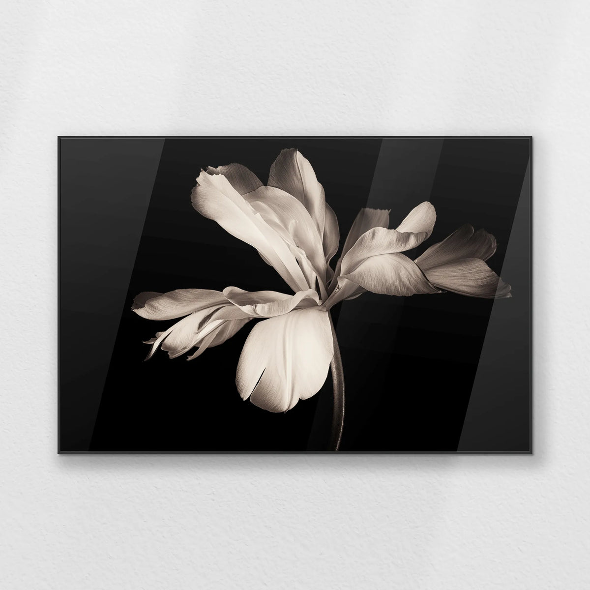 PB-120W080