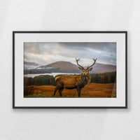 PBP060W040