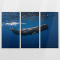 LW-150R100