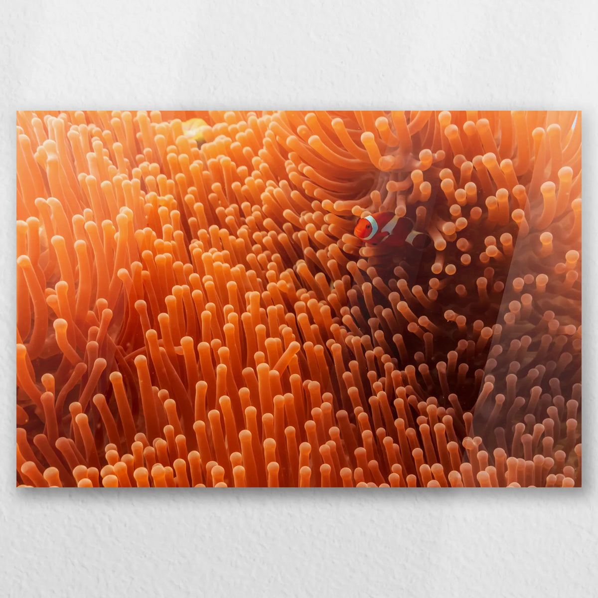 AC-030W020