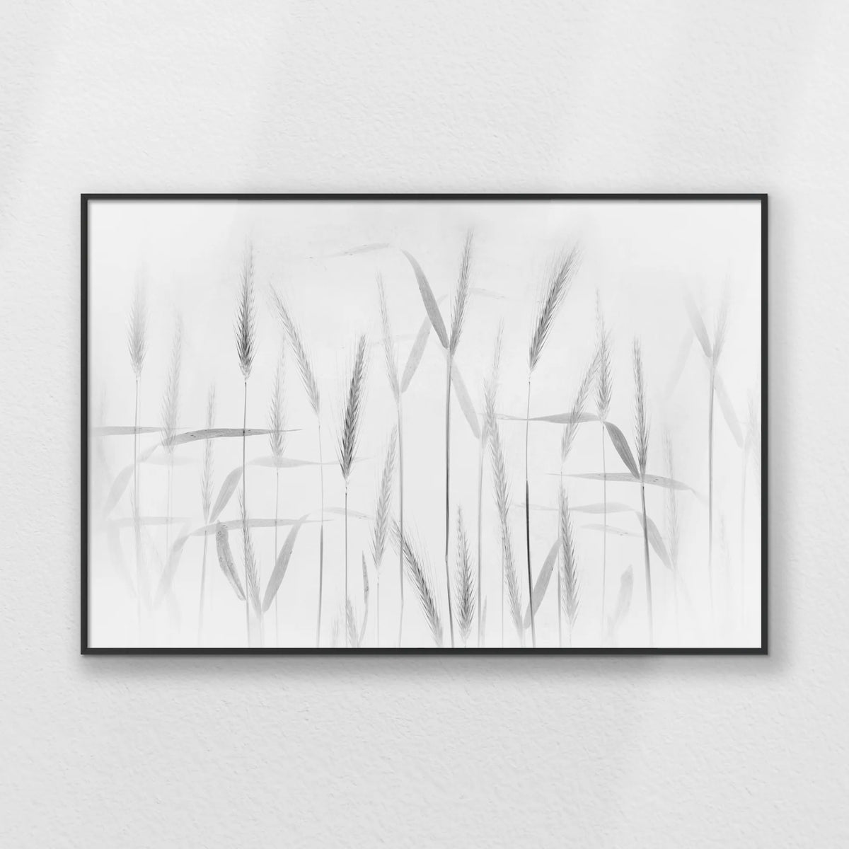 PB-093W062