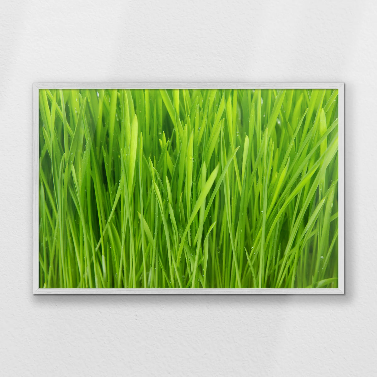 PW-093W062
