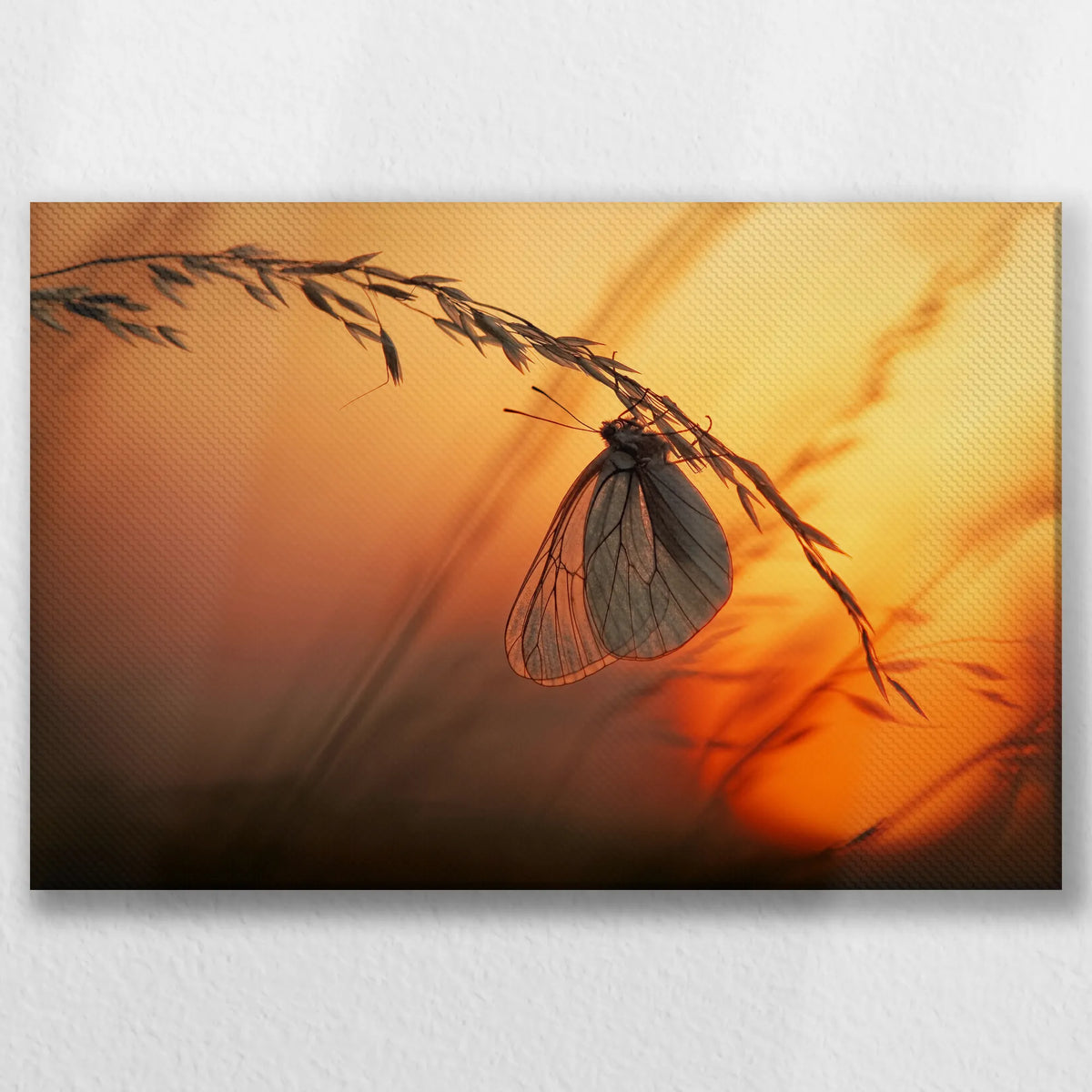 LW-045W030