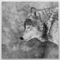 AC-050W050