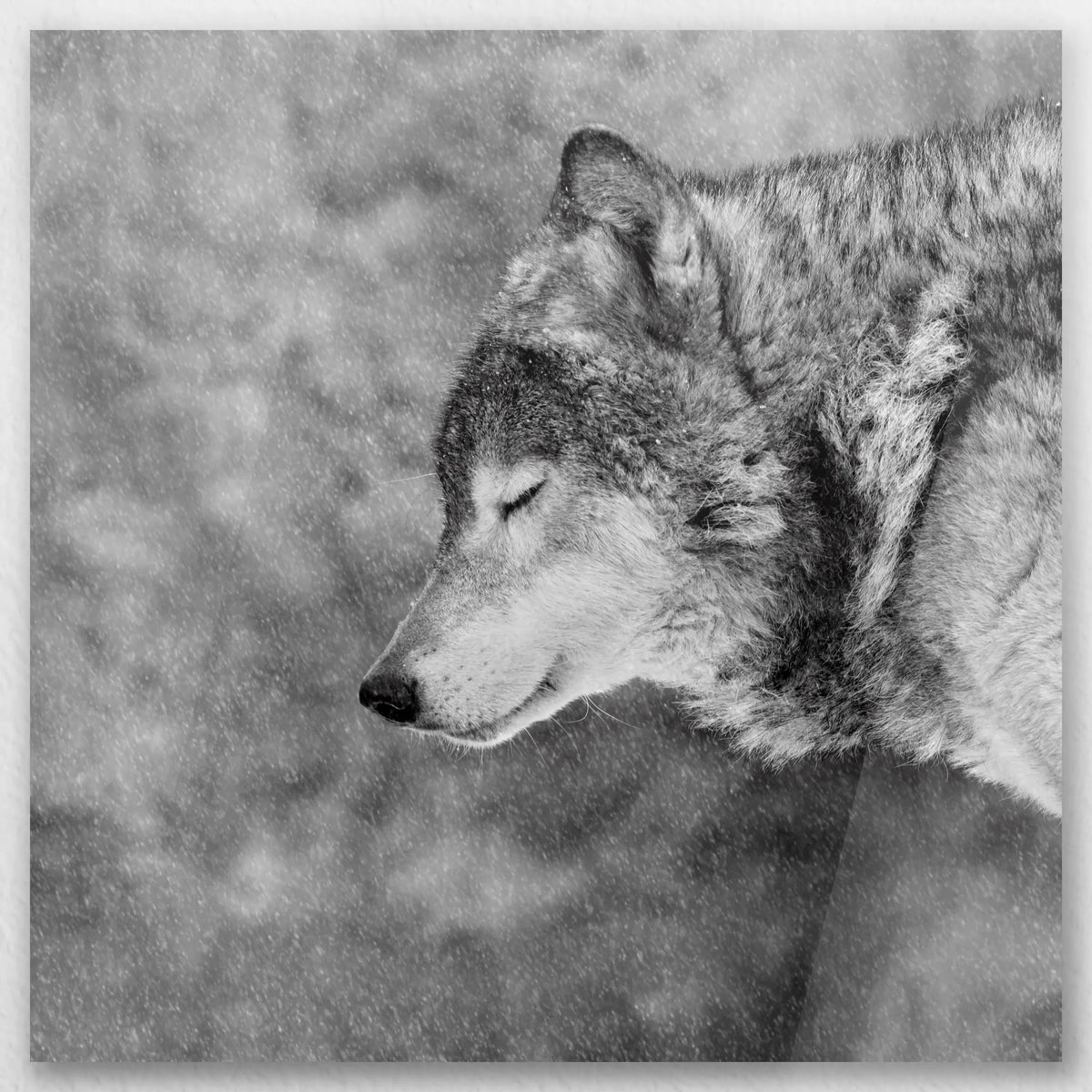 AC-050W050
