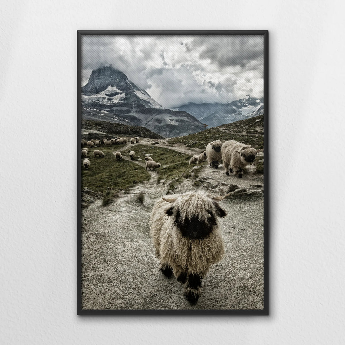 LWB070W100