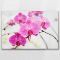 LW-075W050