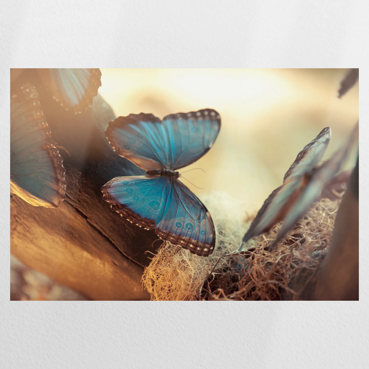 PO-090W060