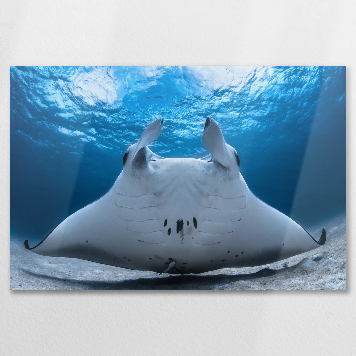 AL-090W060