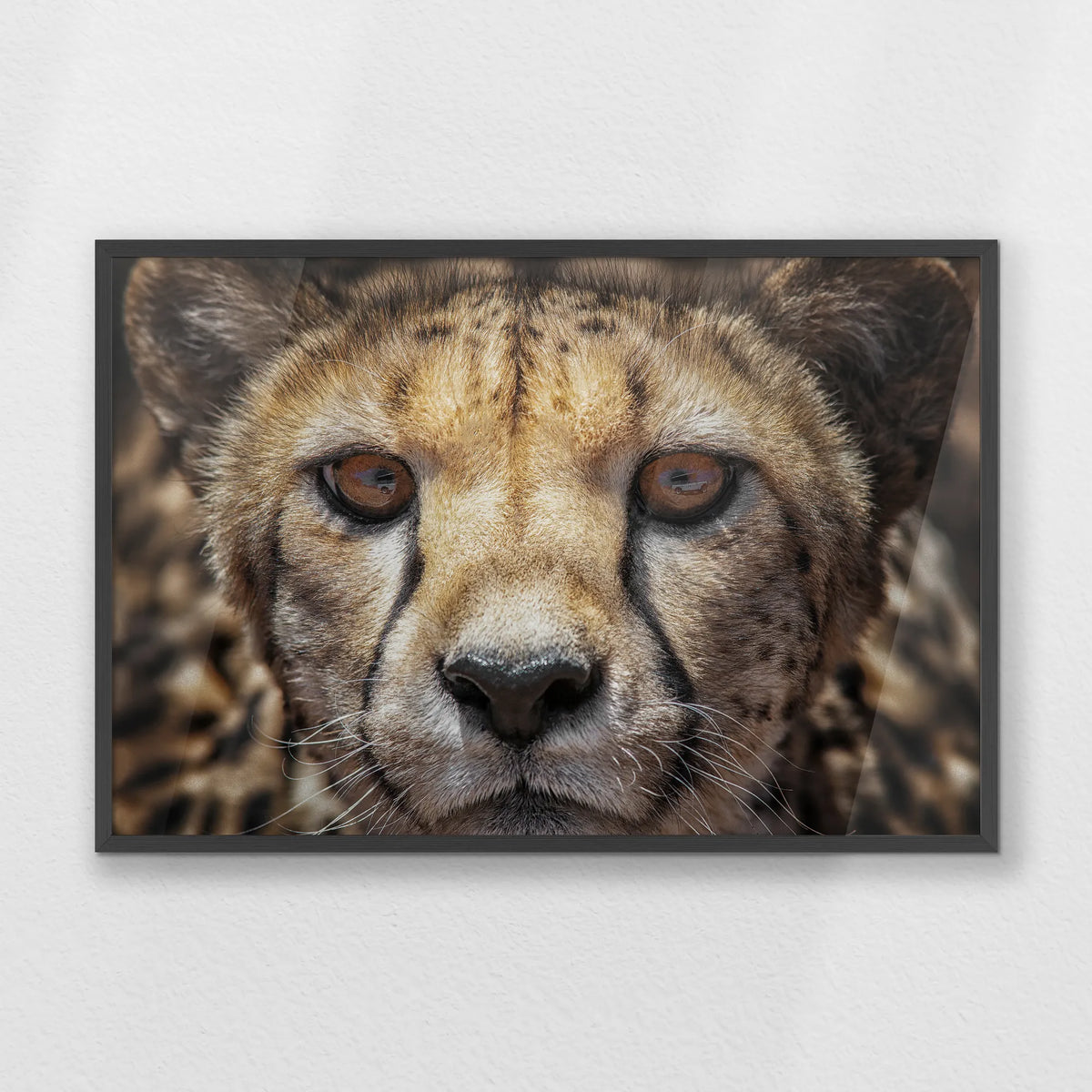 PK-093W062