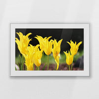 PSP120W080