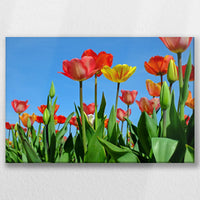 LW-045W030