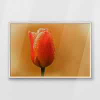 PN-093W062