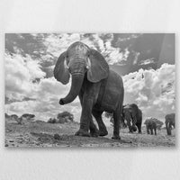 AC-045W030