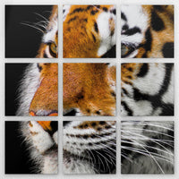 LW-240Z240