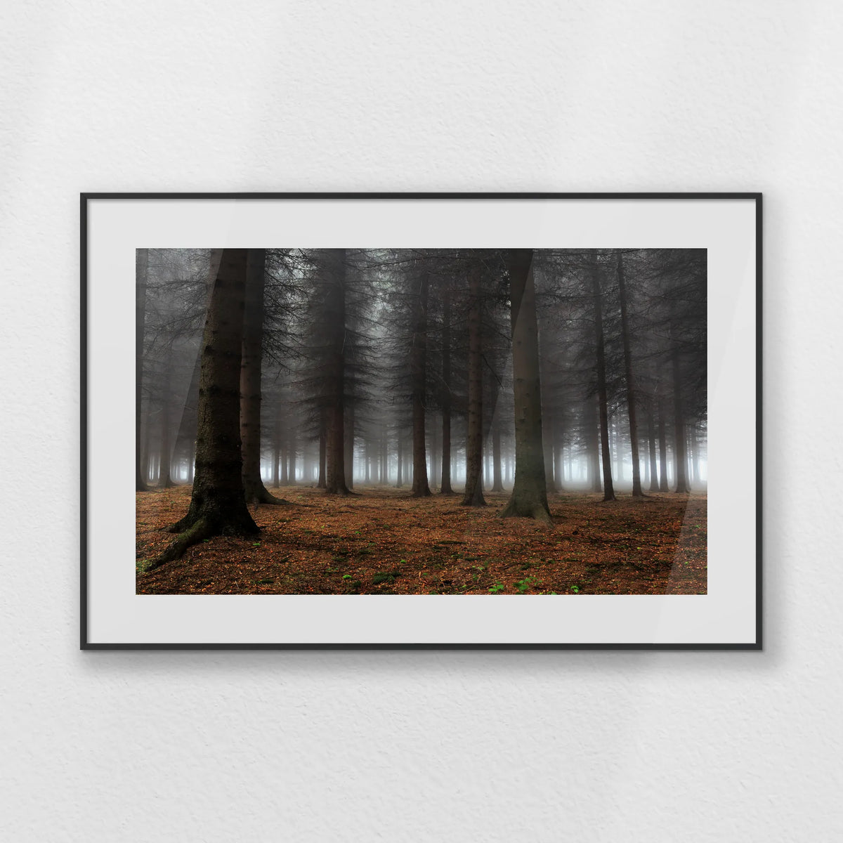 PBP093W062