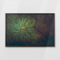 LWN100W070