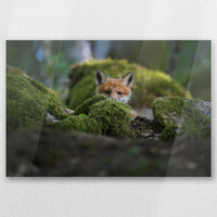 AC-045W030