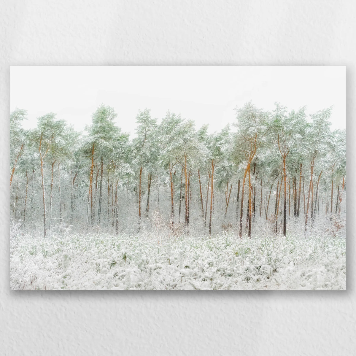 AC-060W040