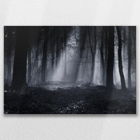 LW-075W050