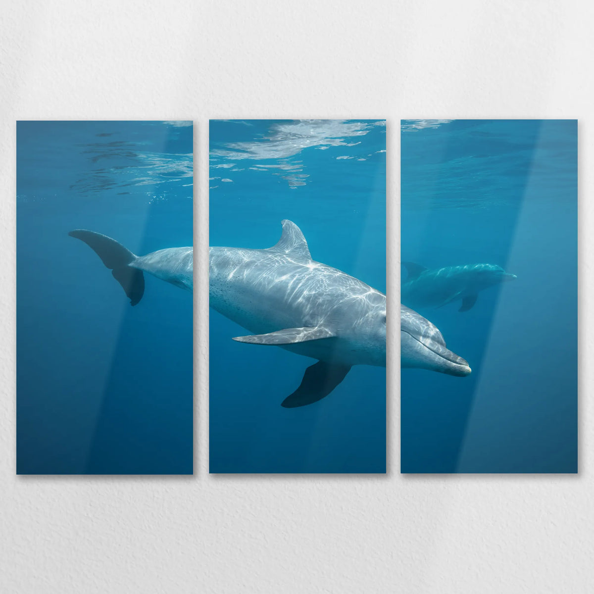 AL-150R100
