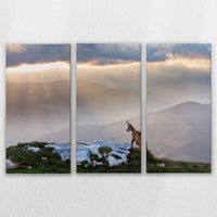 LW-150R100
