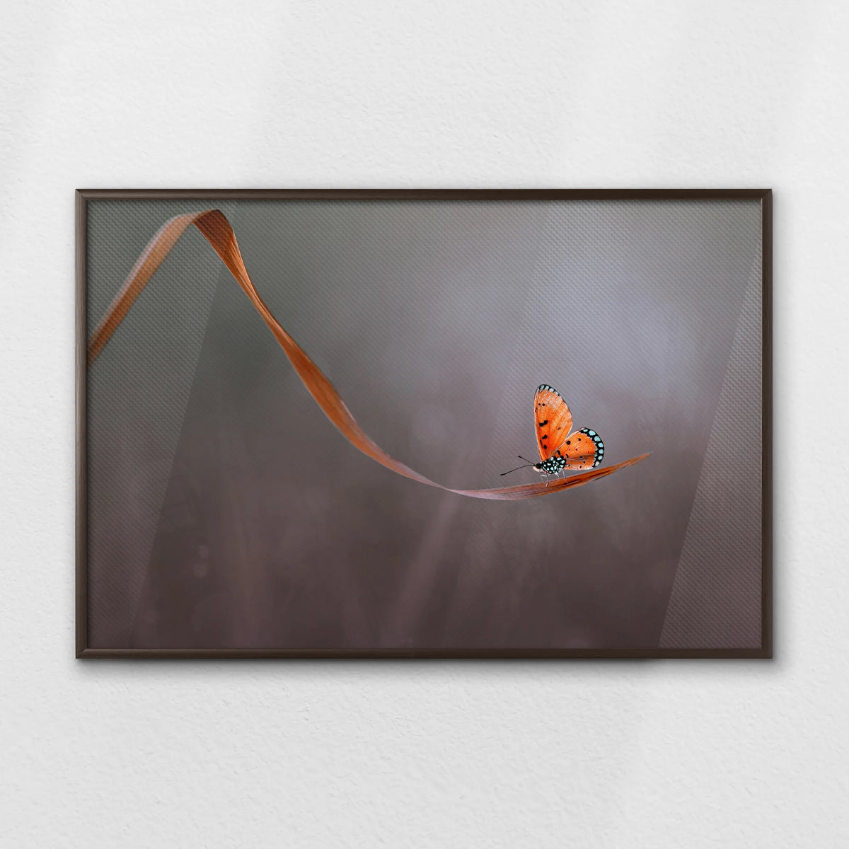 LWN100W070