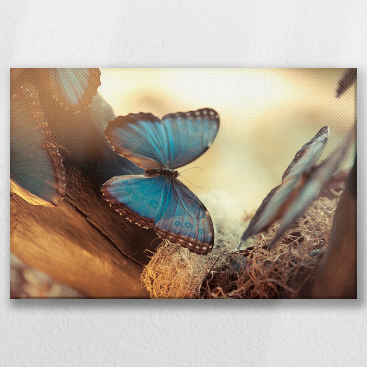 LW-045W030