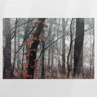 PO-120W080