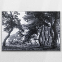 LW-075W050