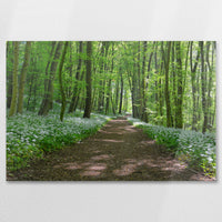 AC-075W050