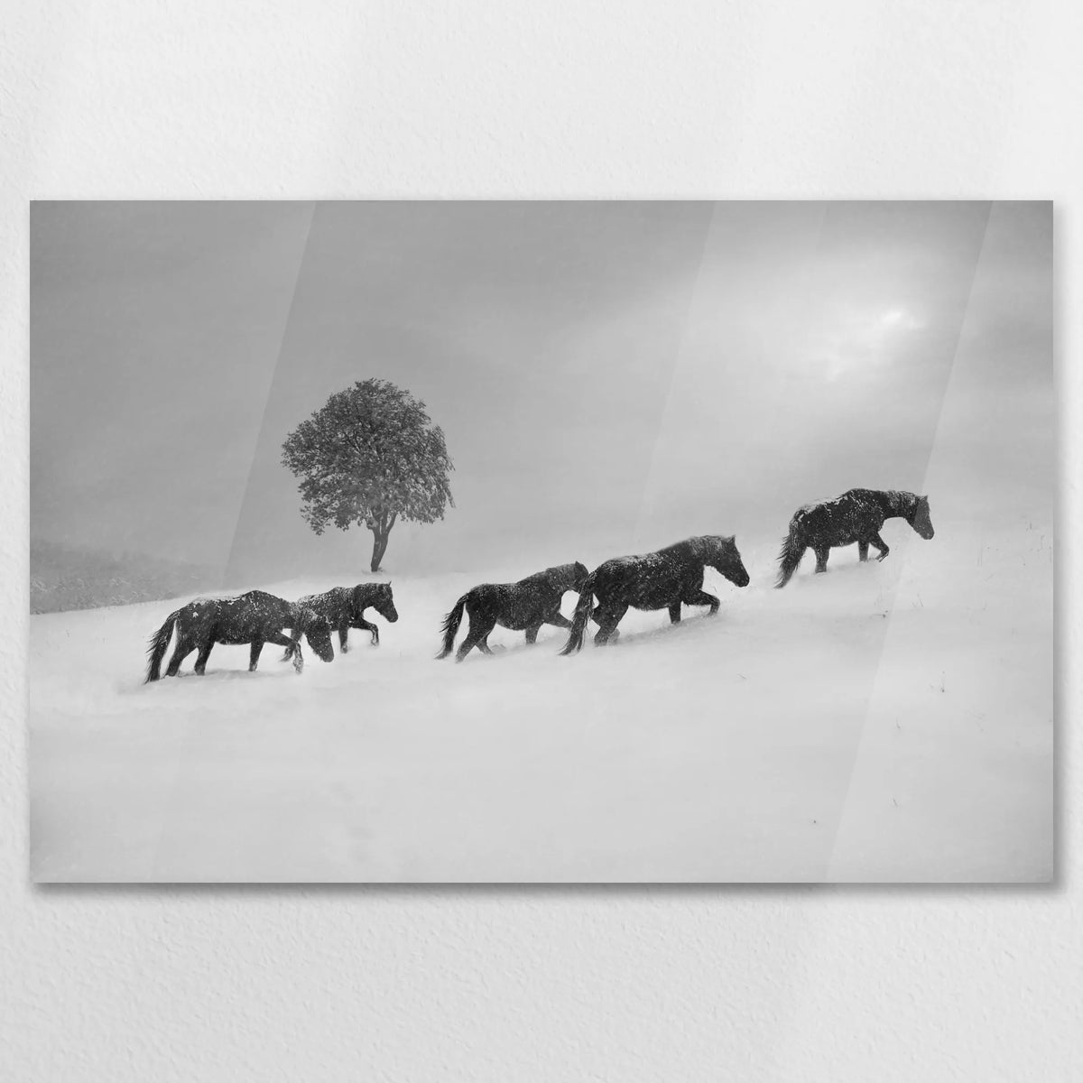 AC-075W050