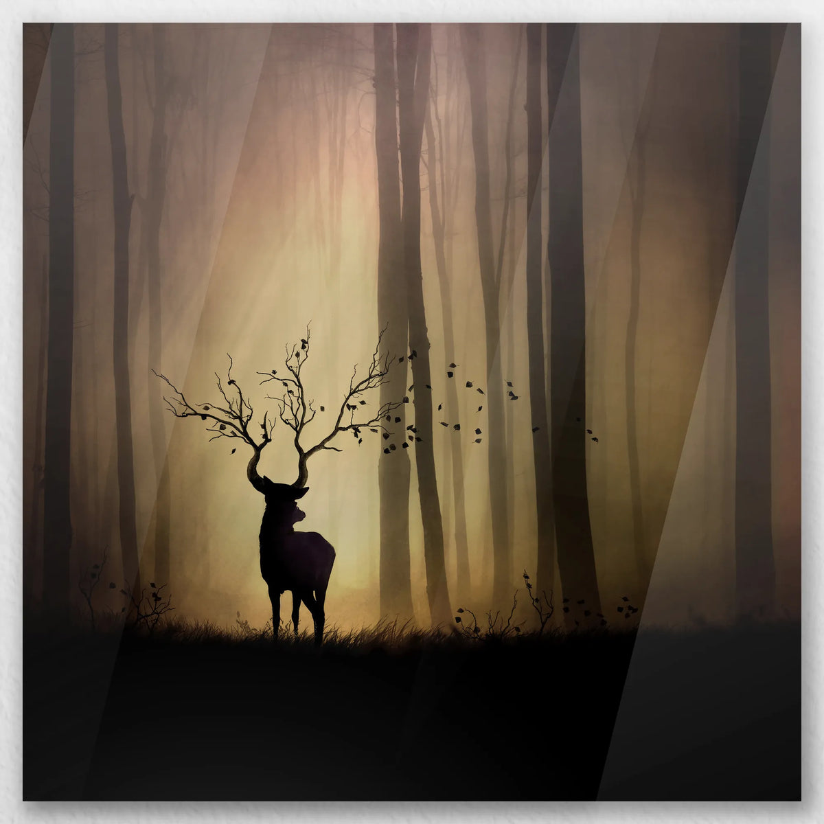 AC-030W030