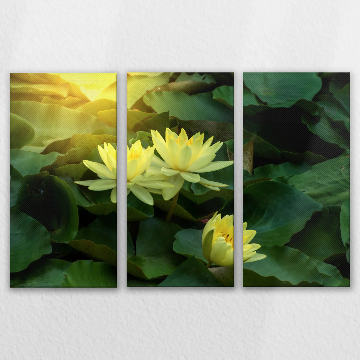 LW-150R100