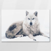 AC-075W050