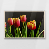 PN-093W062