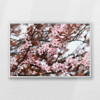 PS-060W040