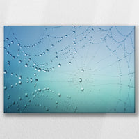 LW-030W020
