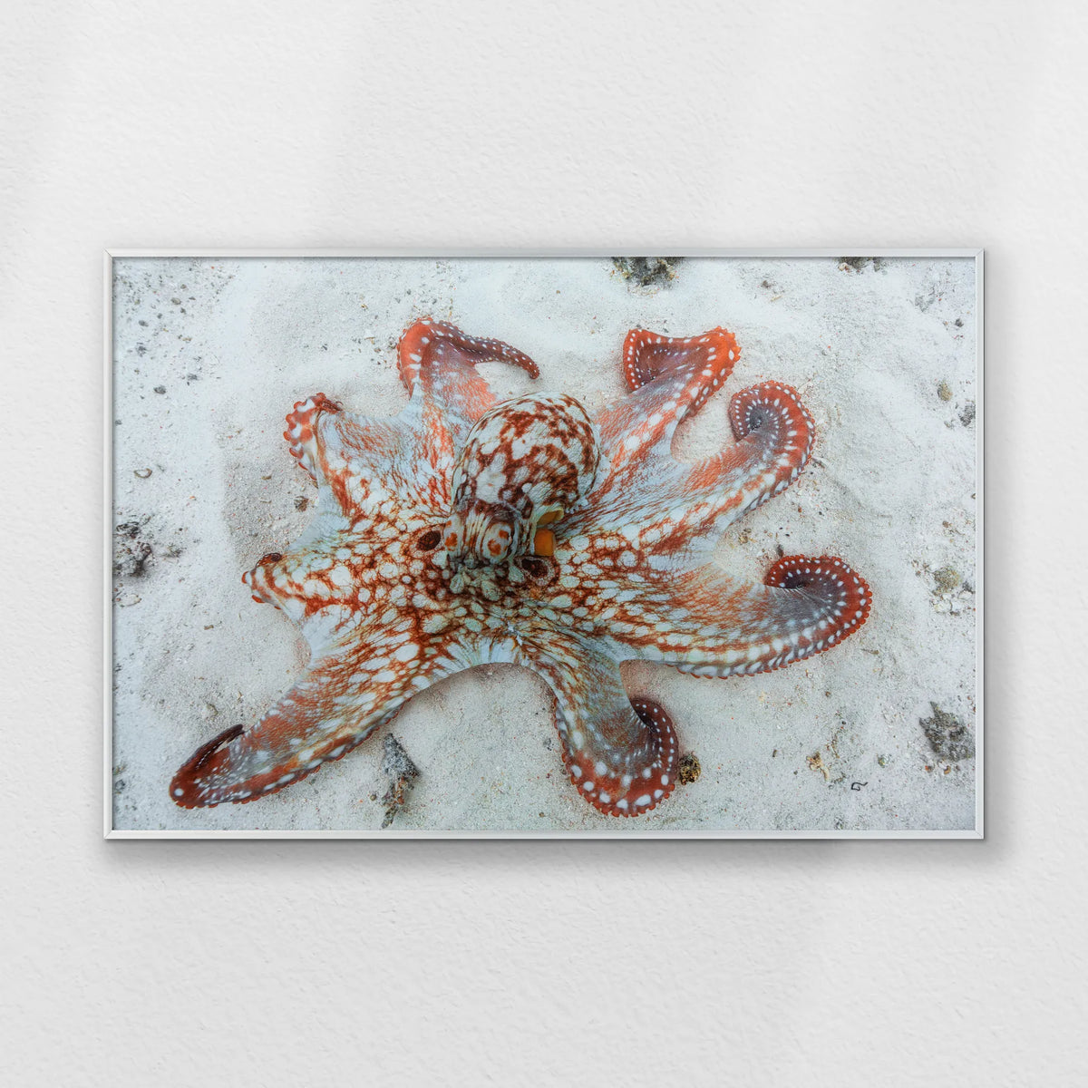 PS-093W062
