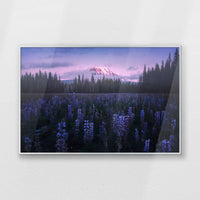 PS-093W062