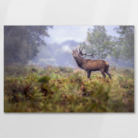 AC-075W050